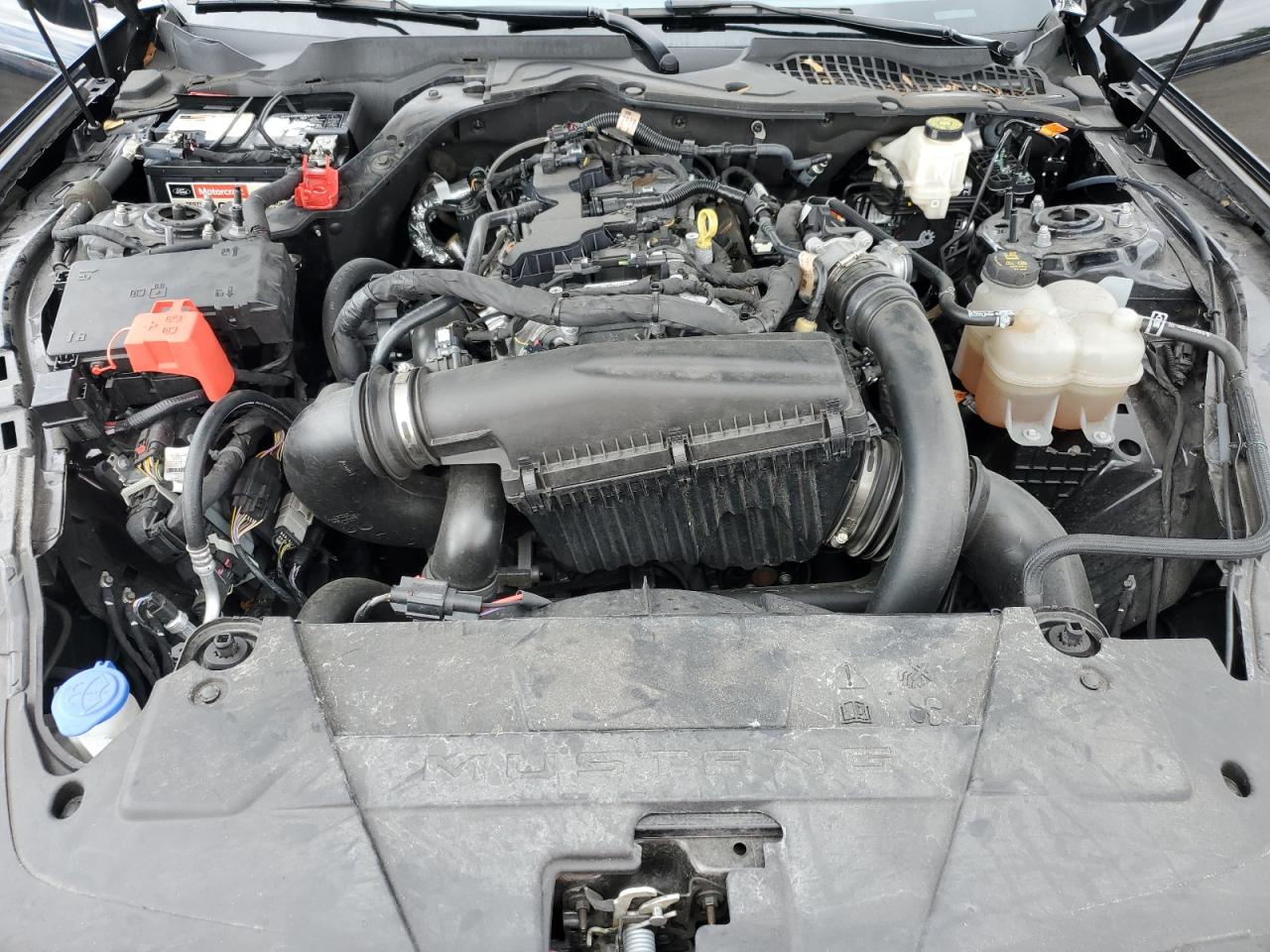 2024 Ford Mustang VIN: 1FA6P8TH9R5105504 Lot: 71946565