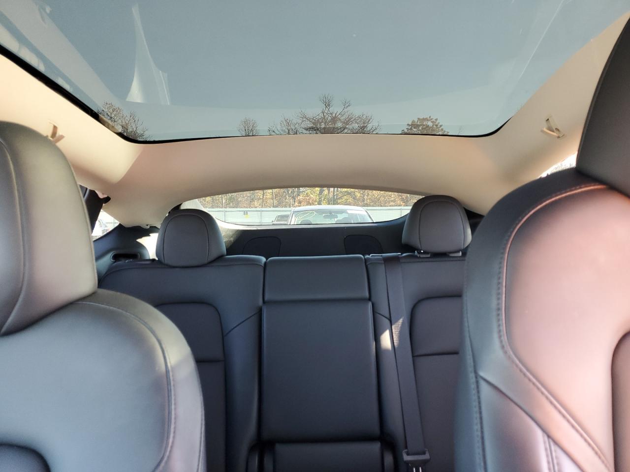 2024 Tesla Model Y VIN: 7SAYGDEE0RA275764 Lot: 82629045