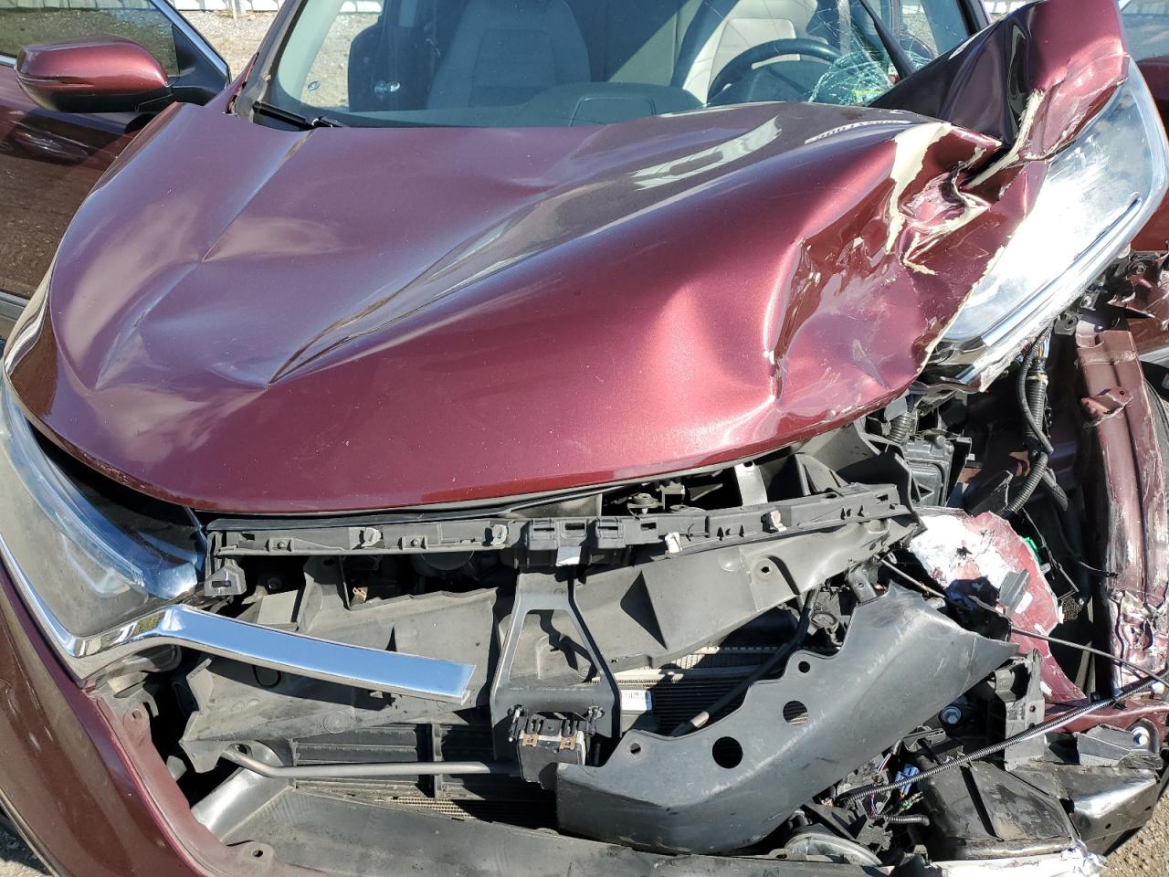 2019 Honda Cr-V Exl VIN: 2HKRW1H85KH509657 Lot: 90017285