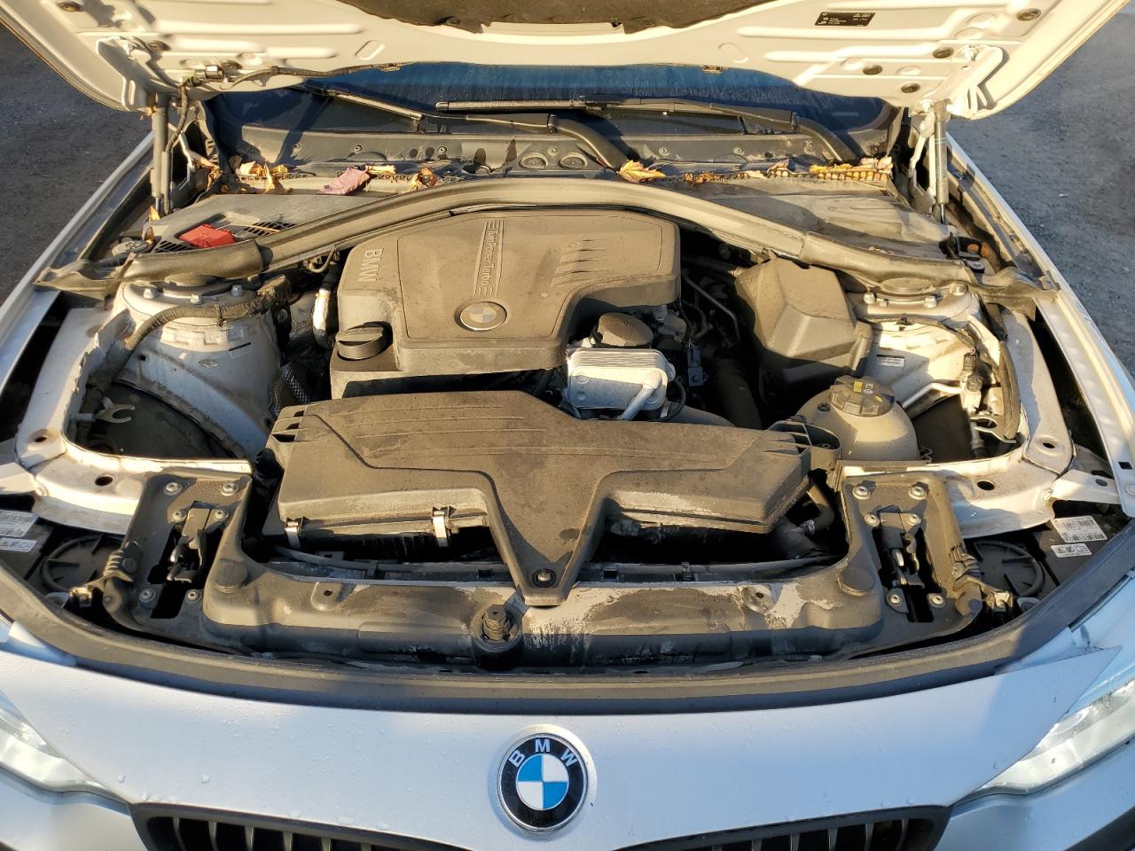 2015 BMW 428 Xi VIN: WBA3N5C55FK484731 Lot: 85367345