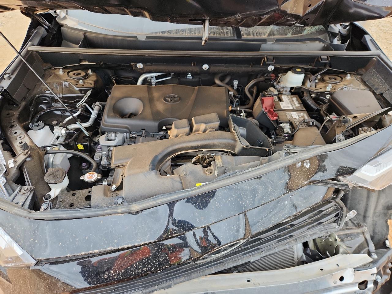 2023 Toyota Rav4 Xle VIN: 2T3W1RFVXPW277355 Lot: 81991925