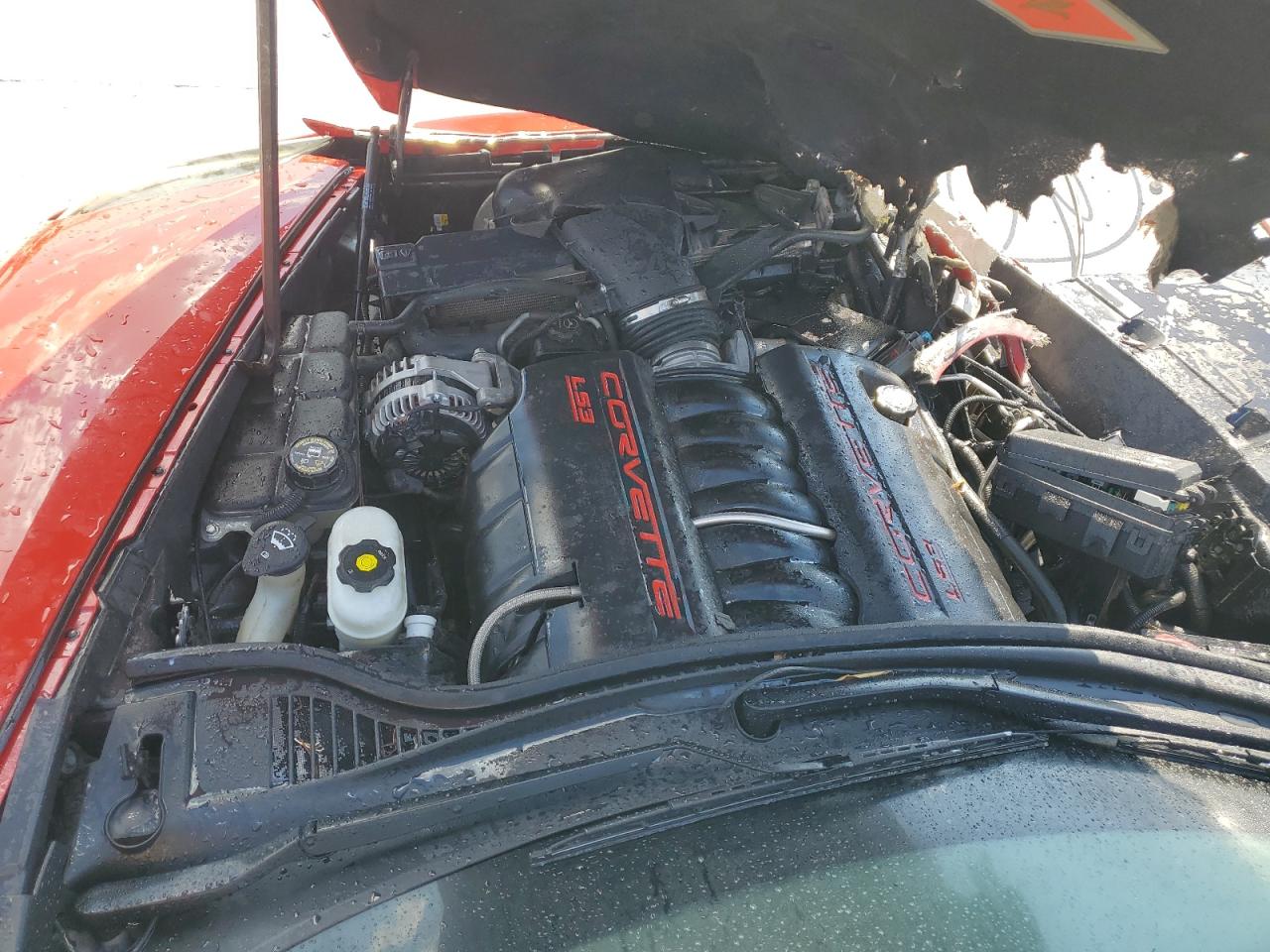 2009 Chevrolet Corvette VIN: 1G1YY26W395110195 Lot: 87271355