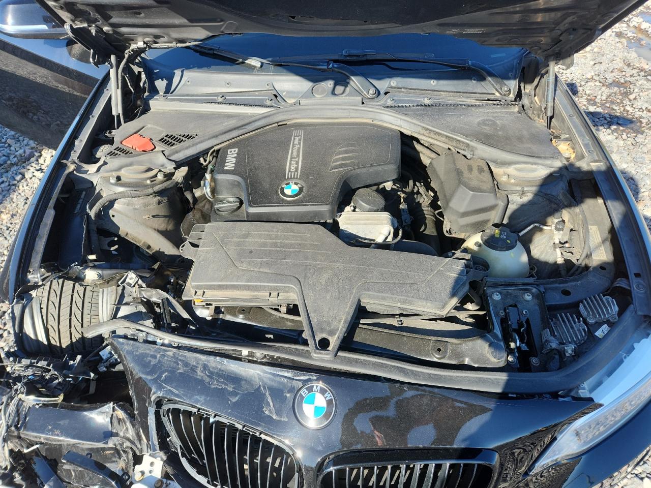 2015 BMW 228 Xi VIN: WBA1F7C52FVX96357 Lot: 82602995