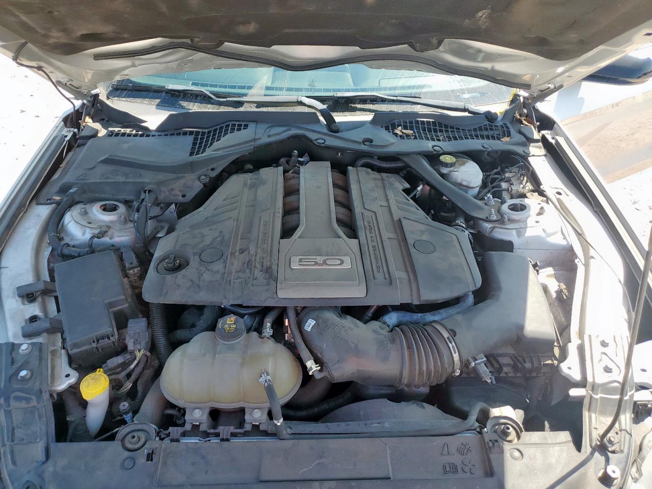 2019 Ford Mustang Gt VIN: 1FA6P8CFXK5204207 Lot: 84817155