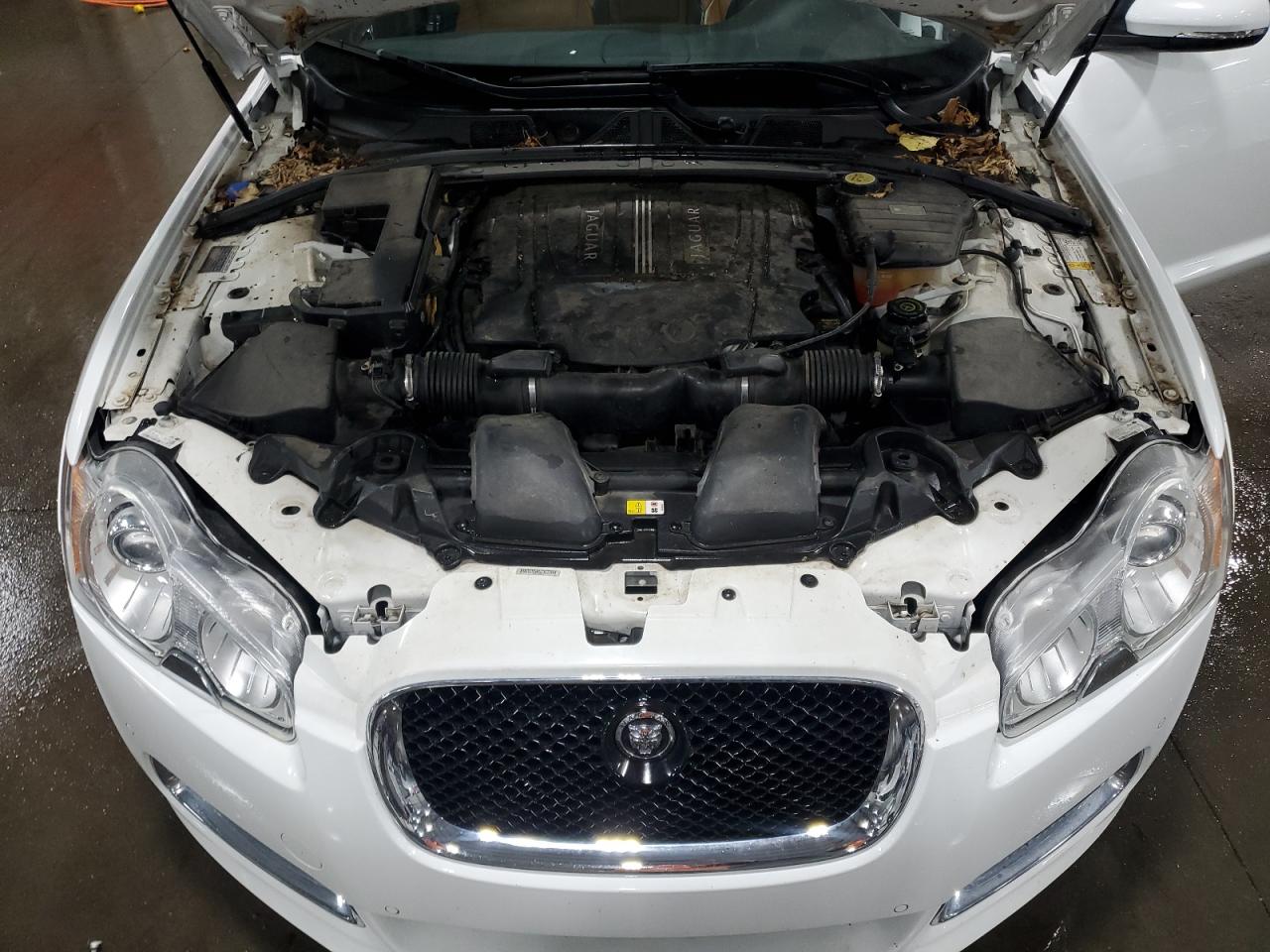 2011 Jaguar Xf R VIN: SAJWA0JC1BMS08613 Lot: 85780705