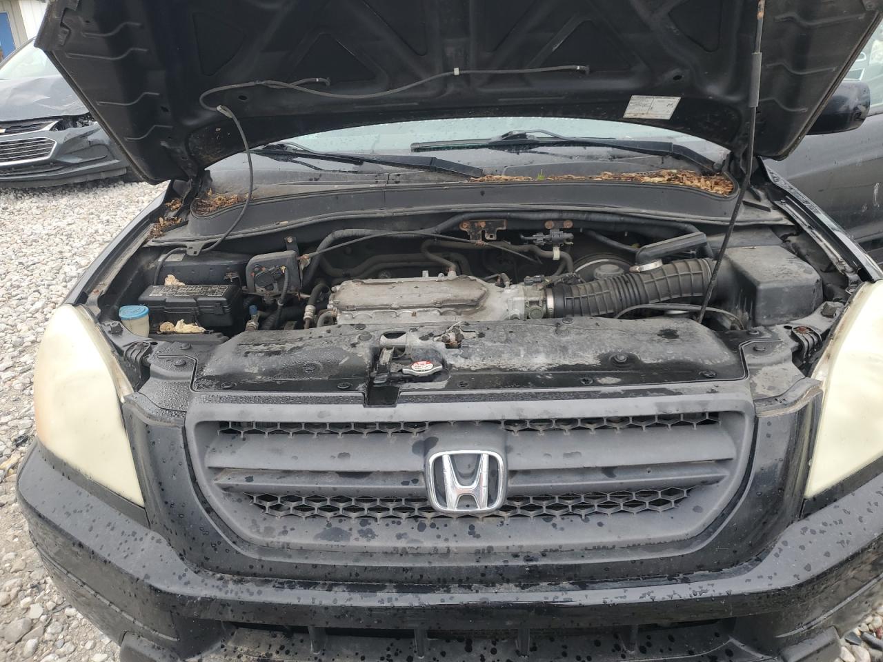 2005 Honda Pilot Exl VIN: 5FNYF18525B002767 Lot: 86168025