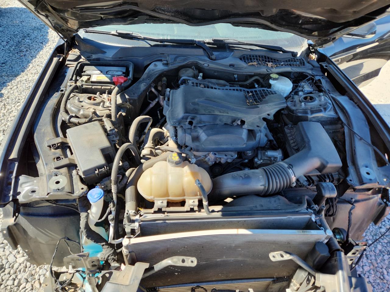 2020 Ford Mustang VIN: 1FA6P8TH7L5108327 Lot: 82496515