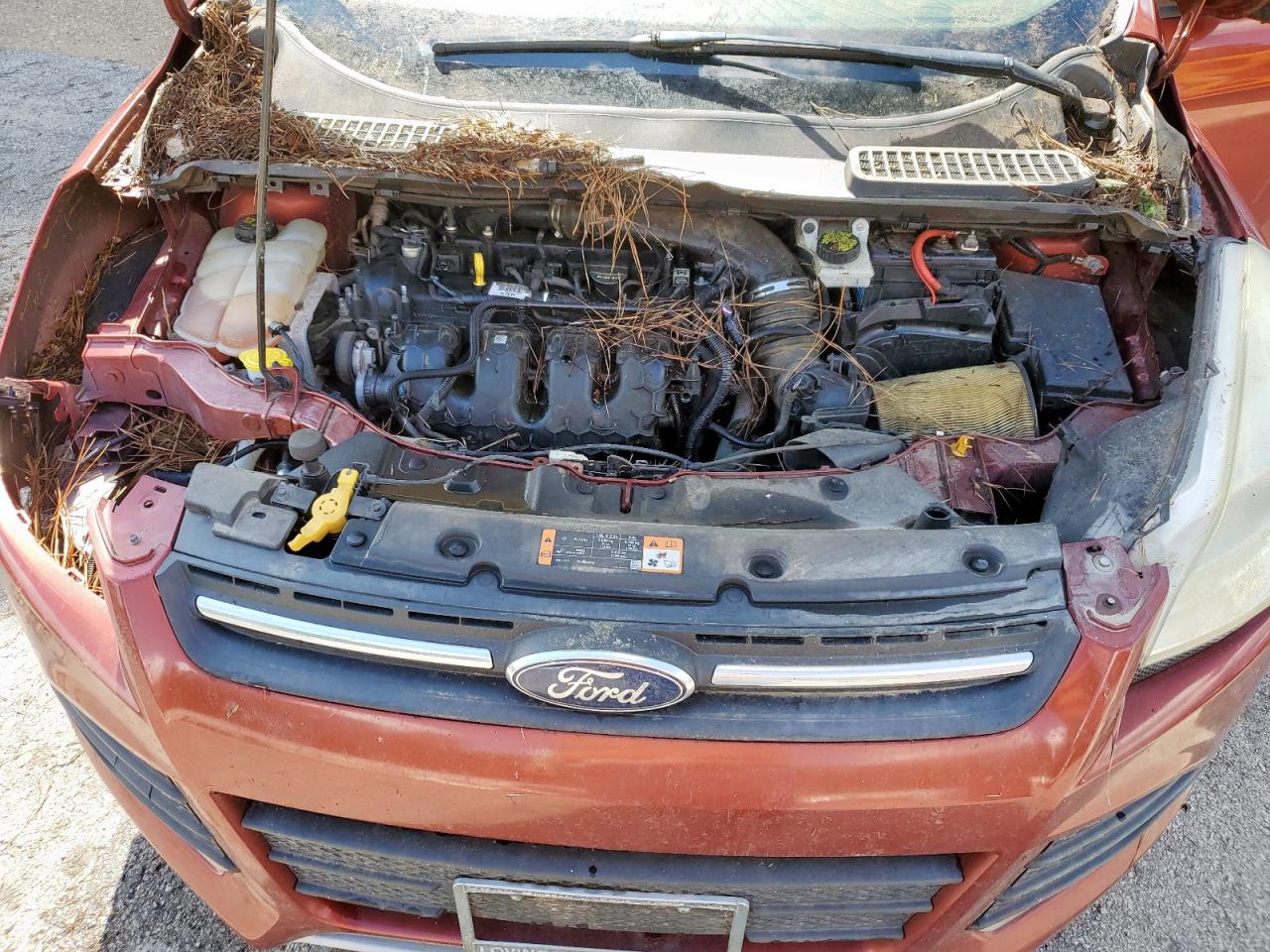 2015 Ford Escape Se VIN: 1FMCU0G98FUA09693 Lot: 82249325