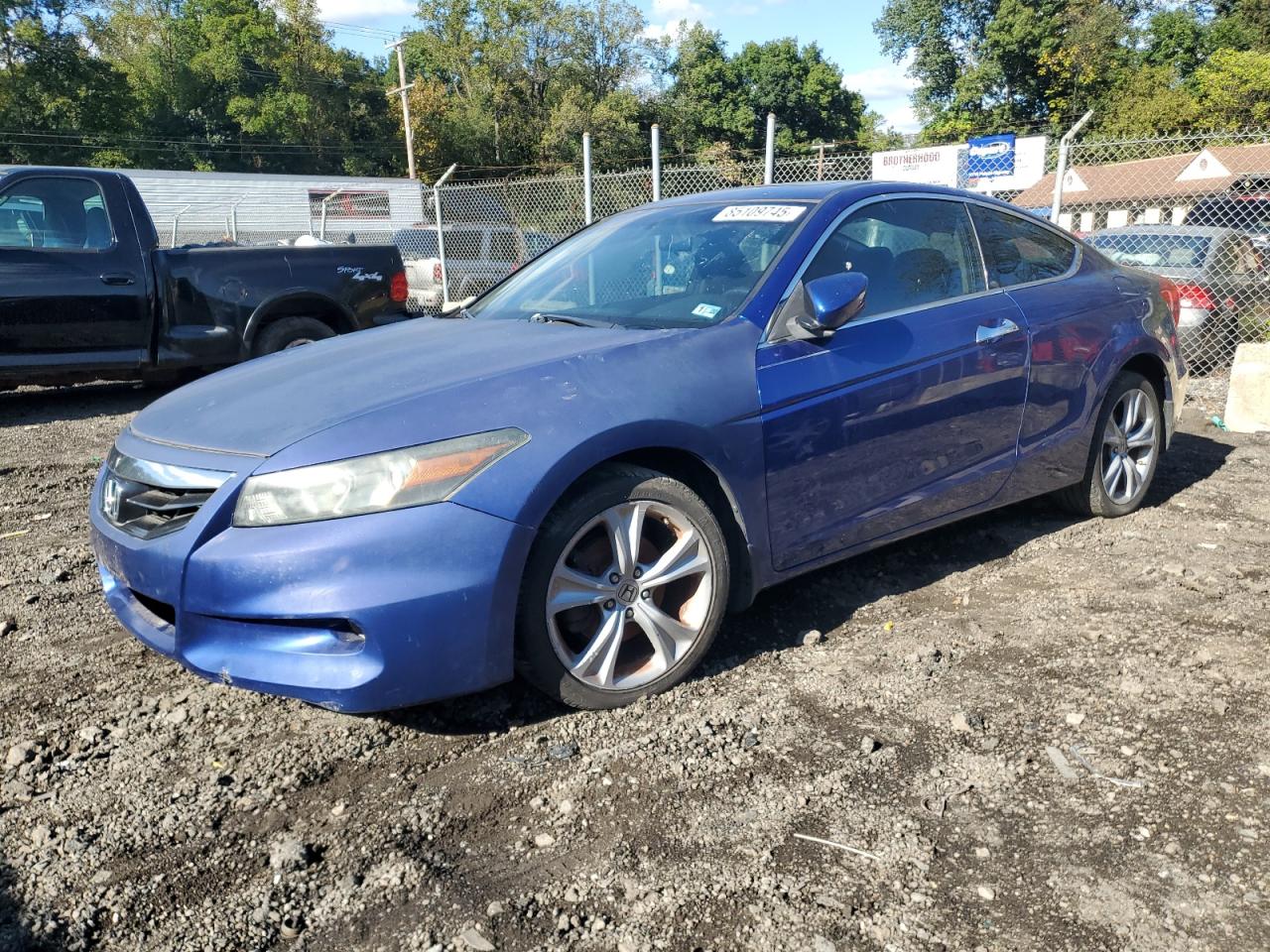 1HGCS2B86BA002856 HONDA ACCORD 2011 BLUE Photo 1