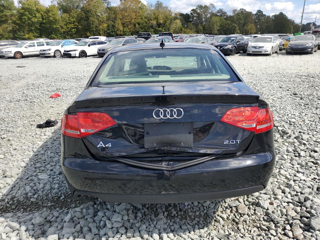 2010 Audi A4 Premium Plus VIN: WAUEFAFL2AN026077 Lot: 82185645