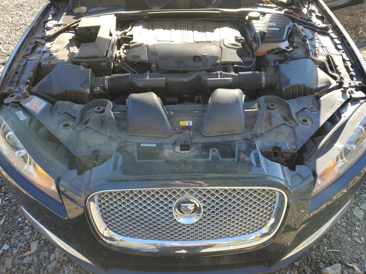 2013 Jaguar Xf VIN: SAJWJ0EF5D8S88983 Lot: 86256755