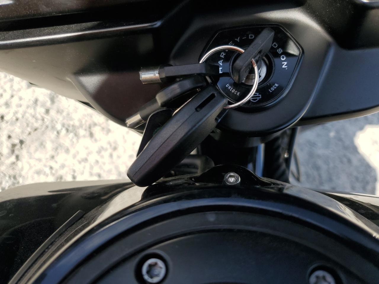 2025 Harley-Davidson Flhx VIN: 1HD1KB710SB607952 Lot: 89510615