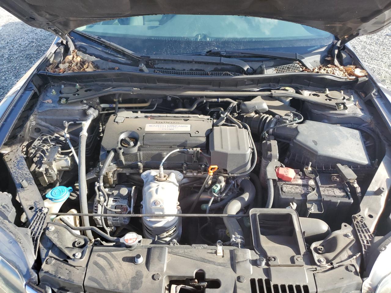 2014 Honda Accord Lx-S VIN: 1HGCT1B3XEA015299 Lot: 86148025