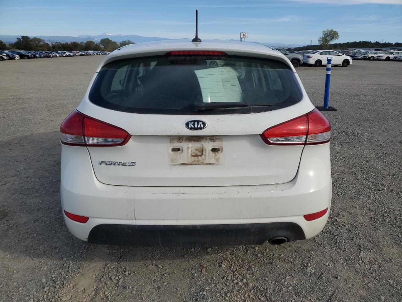 2017 Kia Forte Lx VIN: KNAFK5A8XH5705549 Lot: 91092045
