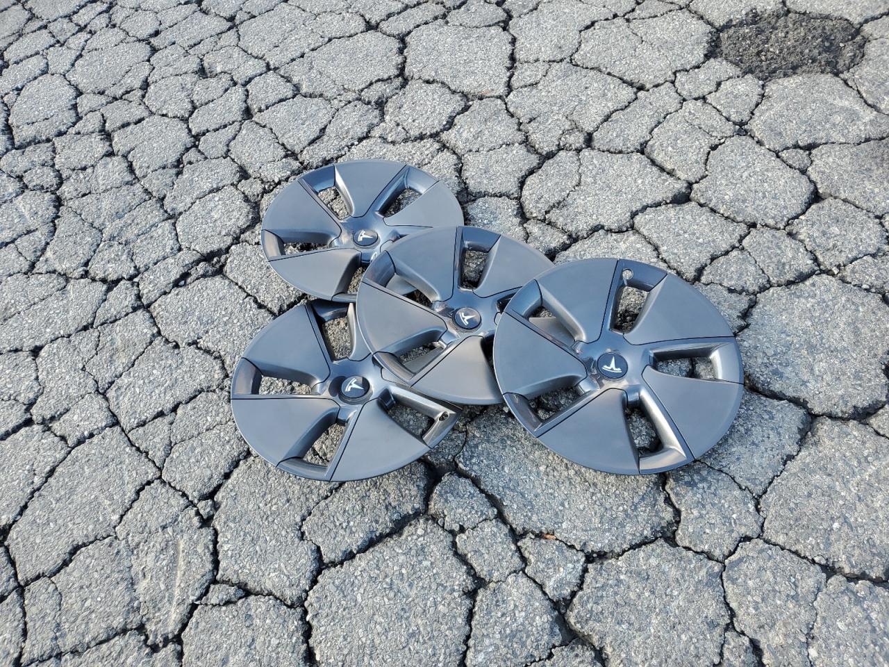 2023 Tesla Model 3 VIN: 5YJ3E1EA6PF703703 Lot: 86488255