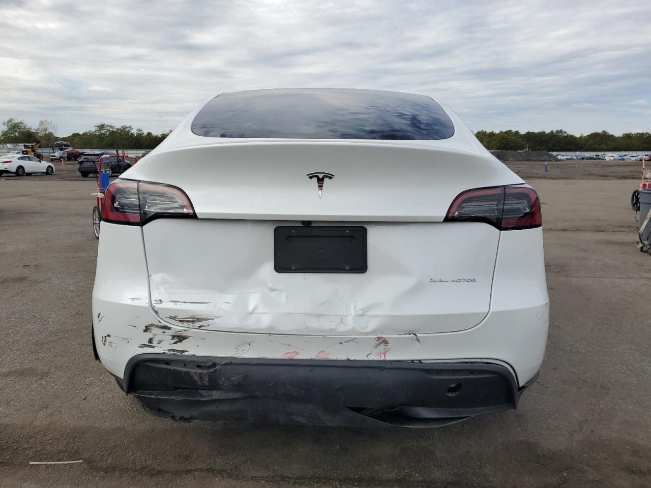 2024 Tesla Model Y VIN: 7SAYGDEE0RA259497 Lot: 86121355