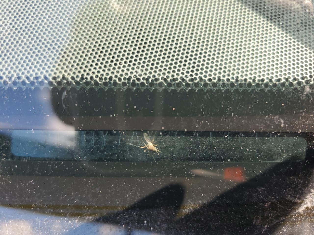 2014 Lexus Lx 570 VIN: JTJHY7AX2E4147448 Lot: 86659245