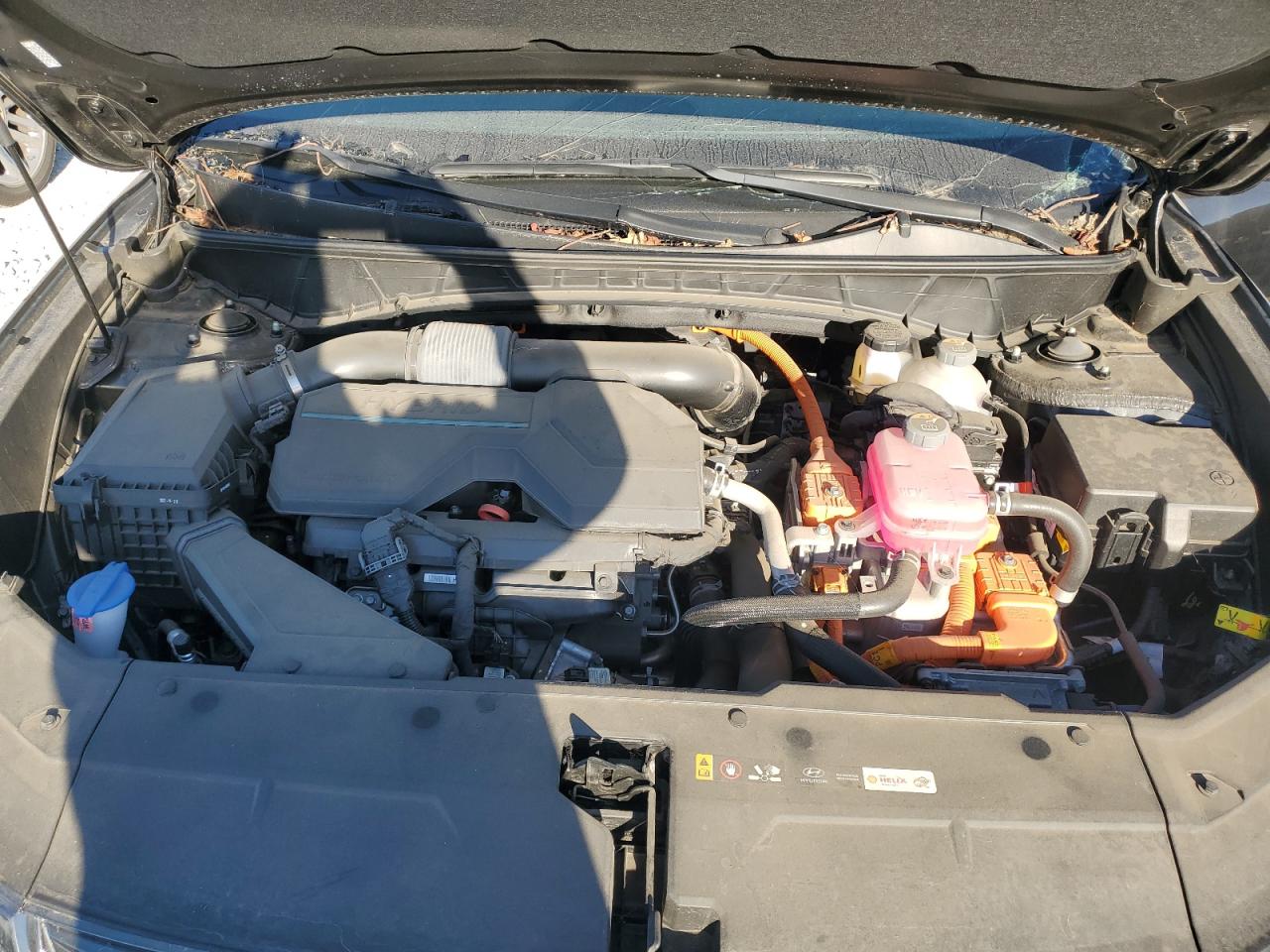 2024 Hyundai Tucson N Line VIN: KM8JFCD1XRU175770 Lot: 85477495