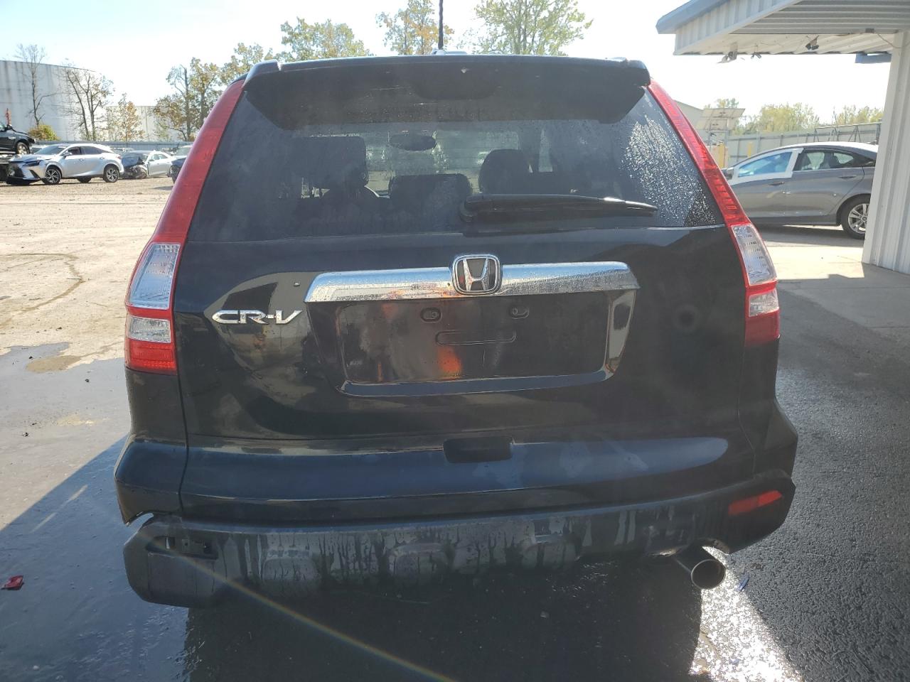 2007 Honda Cr-V Exl VIN: JHLRE48777C005970 Lot: 85177035