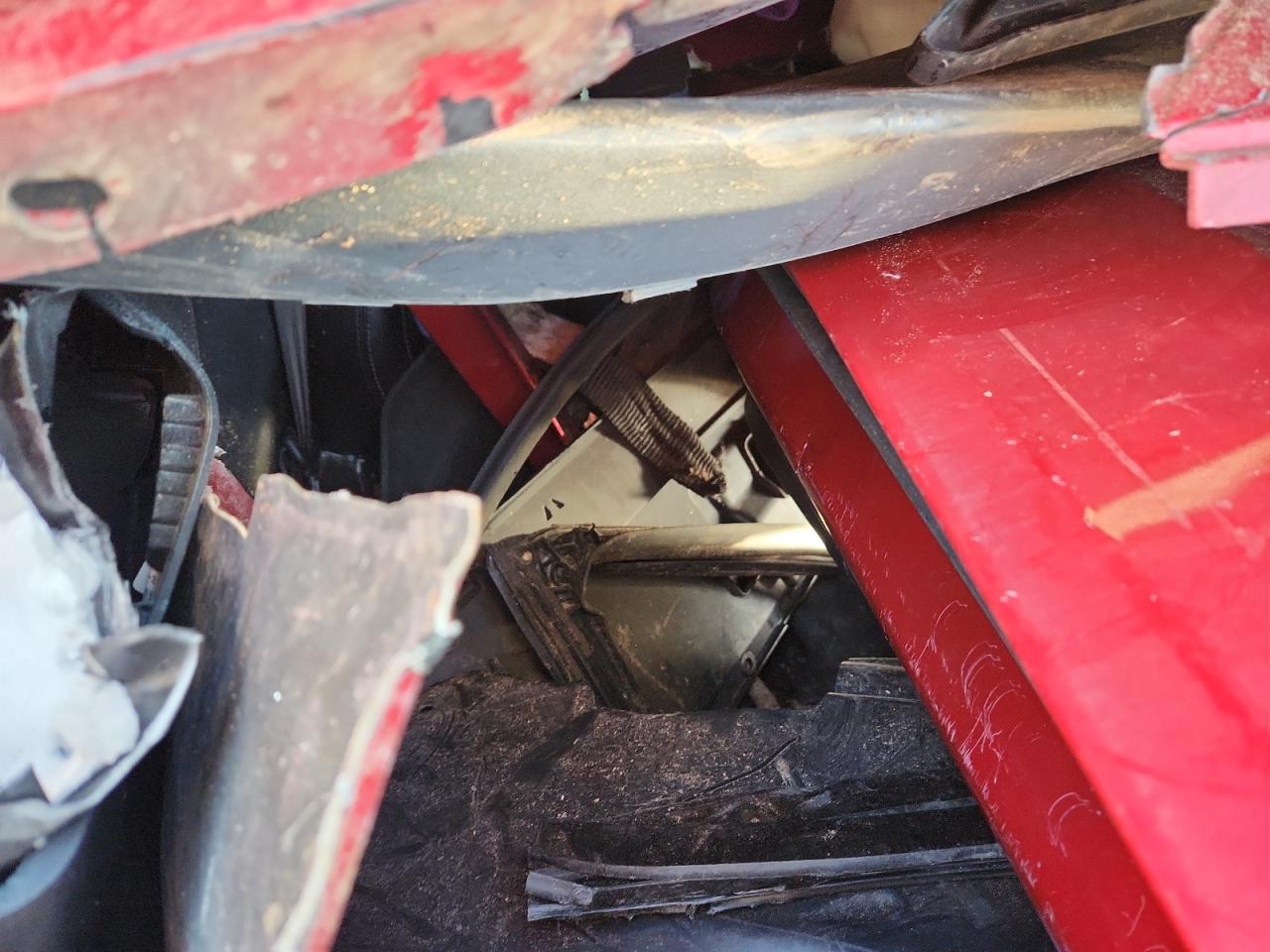 2020 Ford Mustang VIN: 1FA6P8TH8L5124052 Lot: 81966755