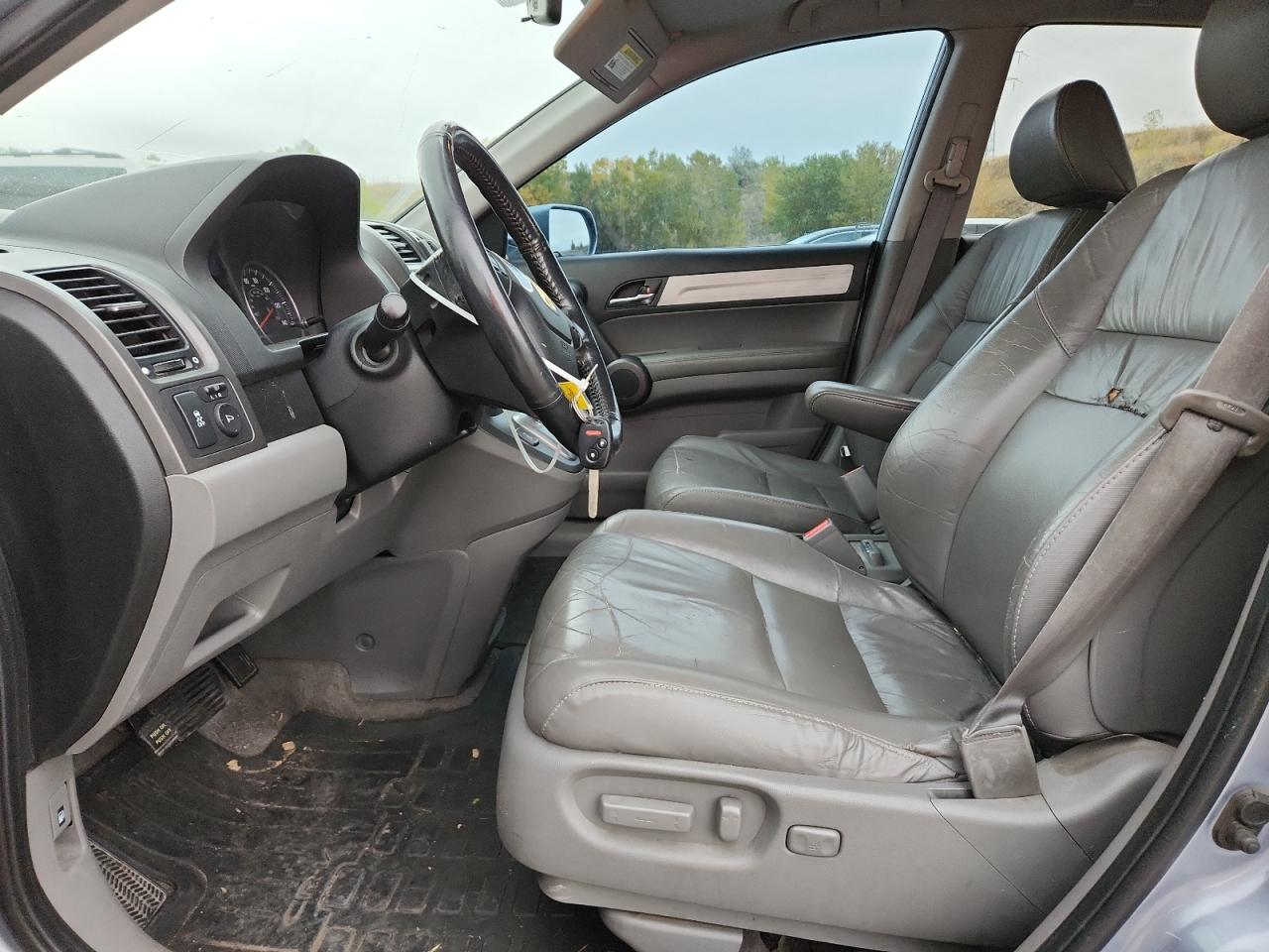 2010 Honda Cr-V Exl VIN: 5J6RE3H74AL007961 Lot: 85372415