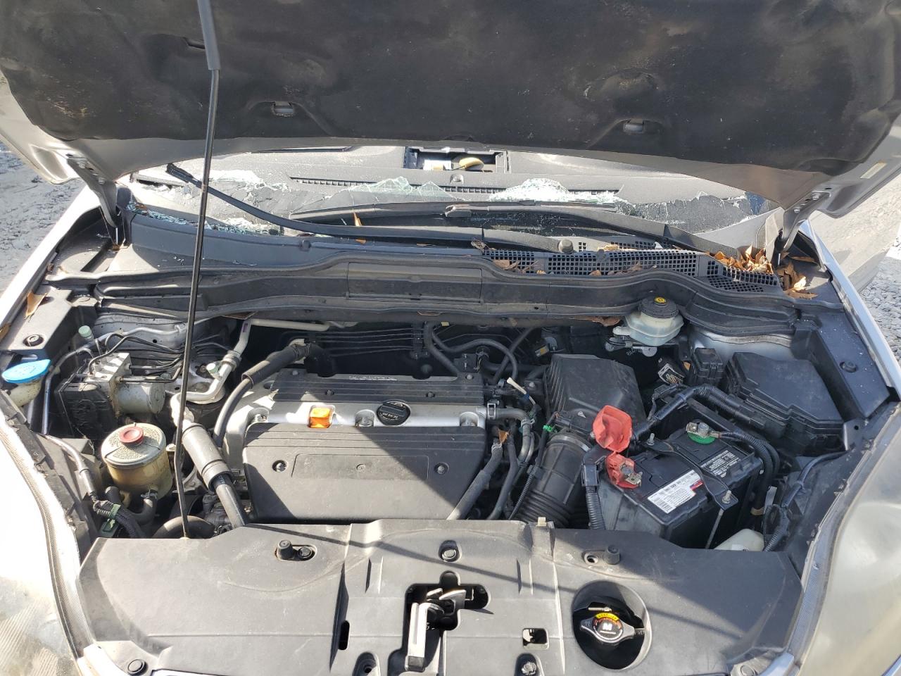 2007 Honda Cr-V Exl VIN: JHLRE38787C045372 Lot: 82220075