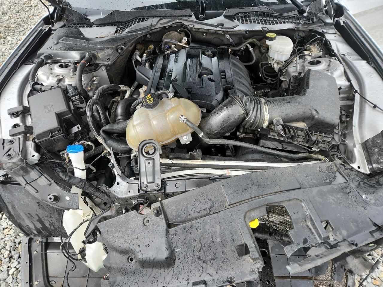 2020 Ford Mustang VIN: 1FA6P8TH1L5189700 Lot: 85580965