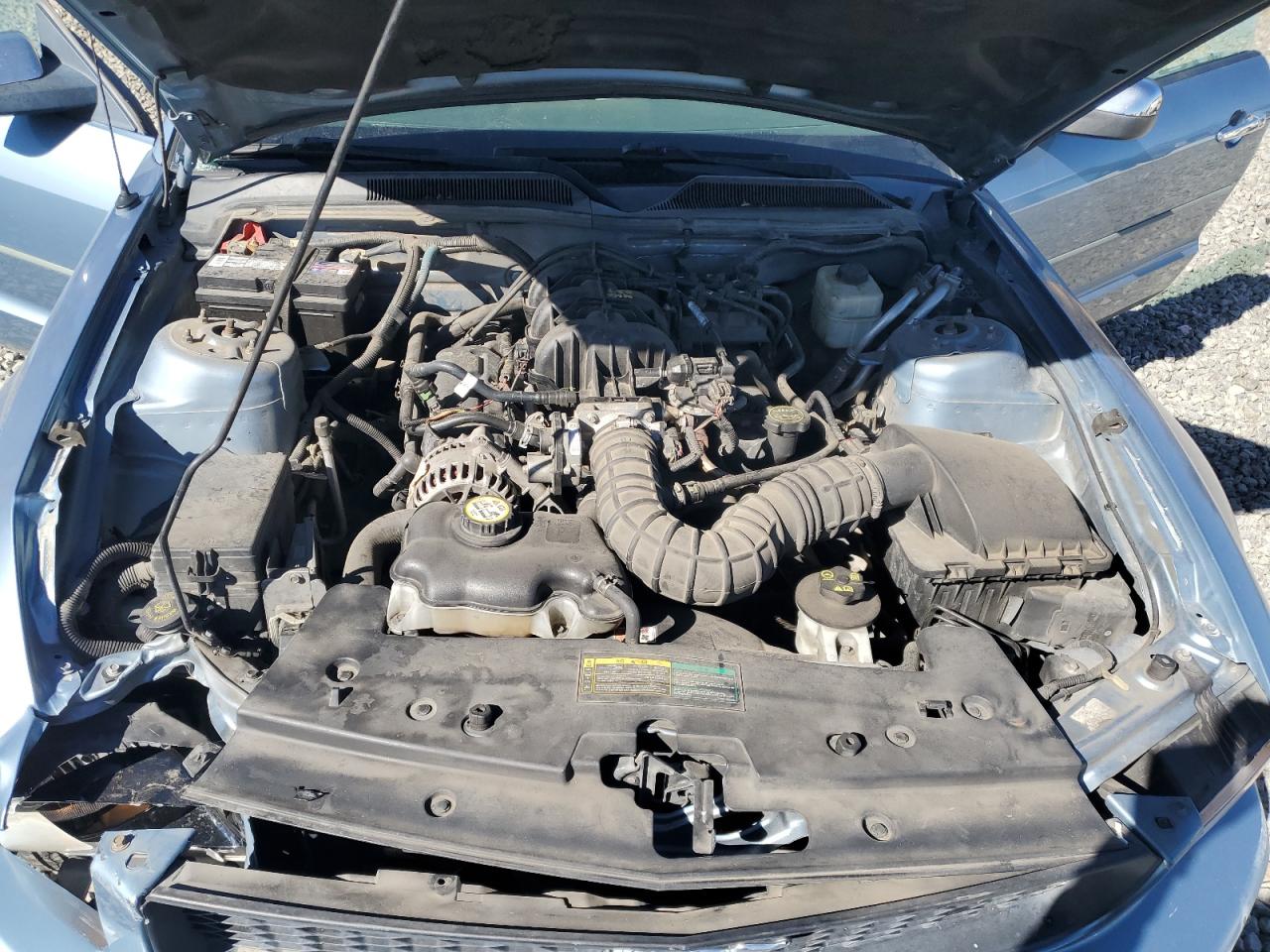 2008 Ford Mustang VIN: 1ZVHT80N285107910 Lot: 82419805