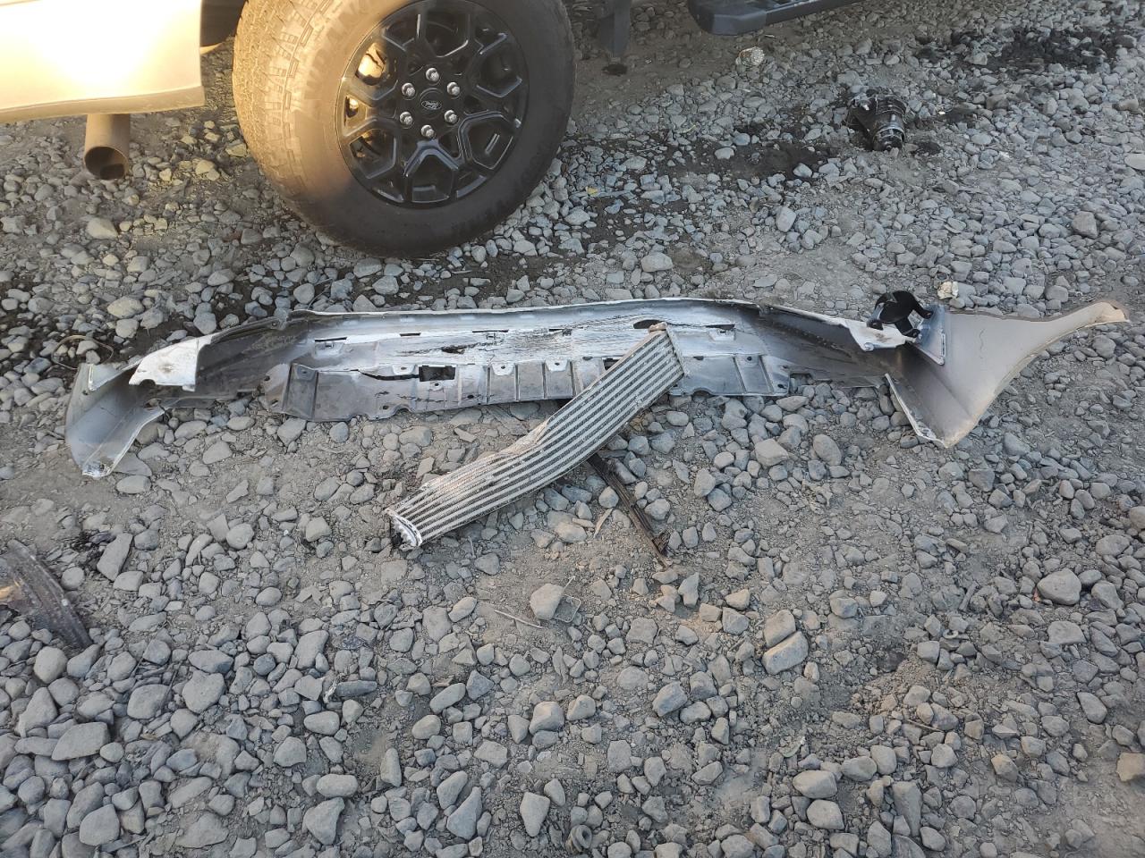 2024 Honda Civic Exl VIN: 19XFL1H76RE011954 Lot: 84612255