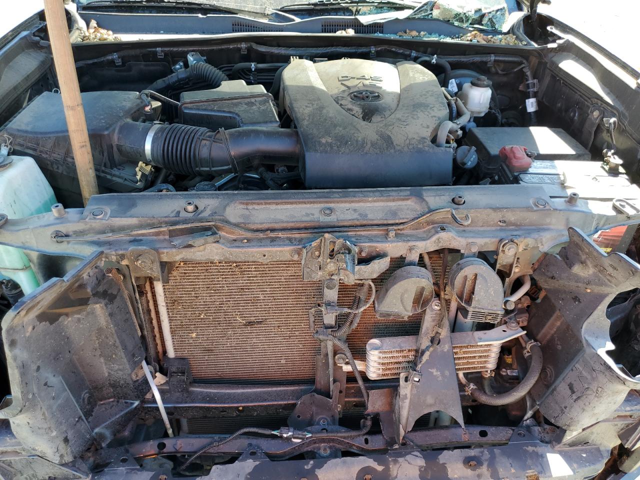 2019 Toyota Tacoma Double Cab VIN: 3TMAZ5CN3KM113701 Lot: 82214905