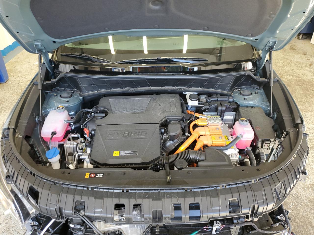 2025 Kia Niro Ex VIN: KNDCR3LE5S5222163 Lot: 81948785