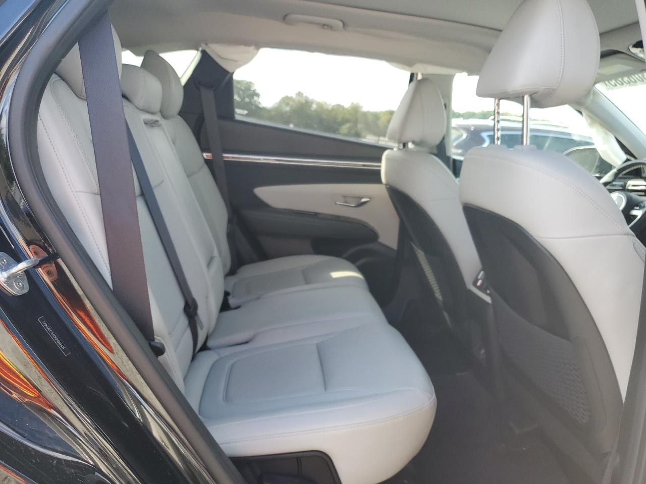 2022 Hyundai Tucson Limited VIN: 5NMJECAE0NH097614 Lot: 82306385