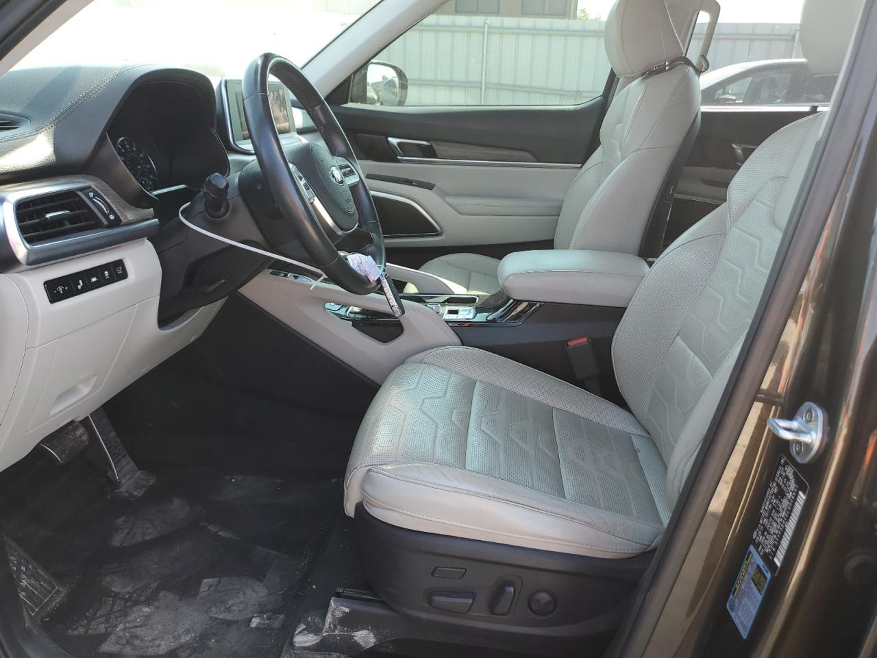 2020 Kia Telluride Sx VIN: 5XYP5DHC5LG006641 Lot: 84985115