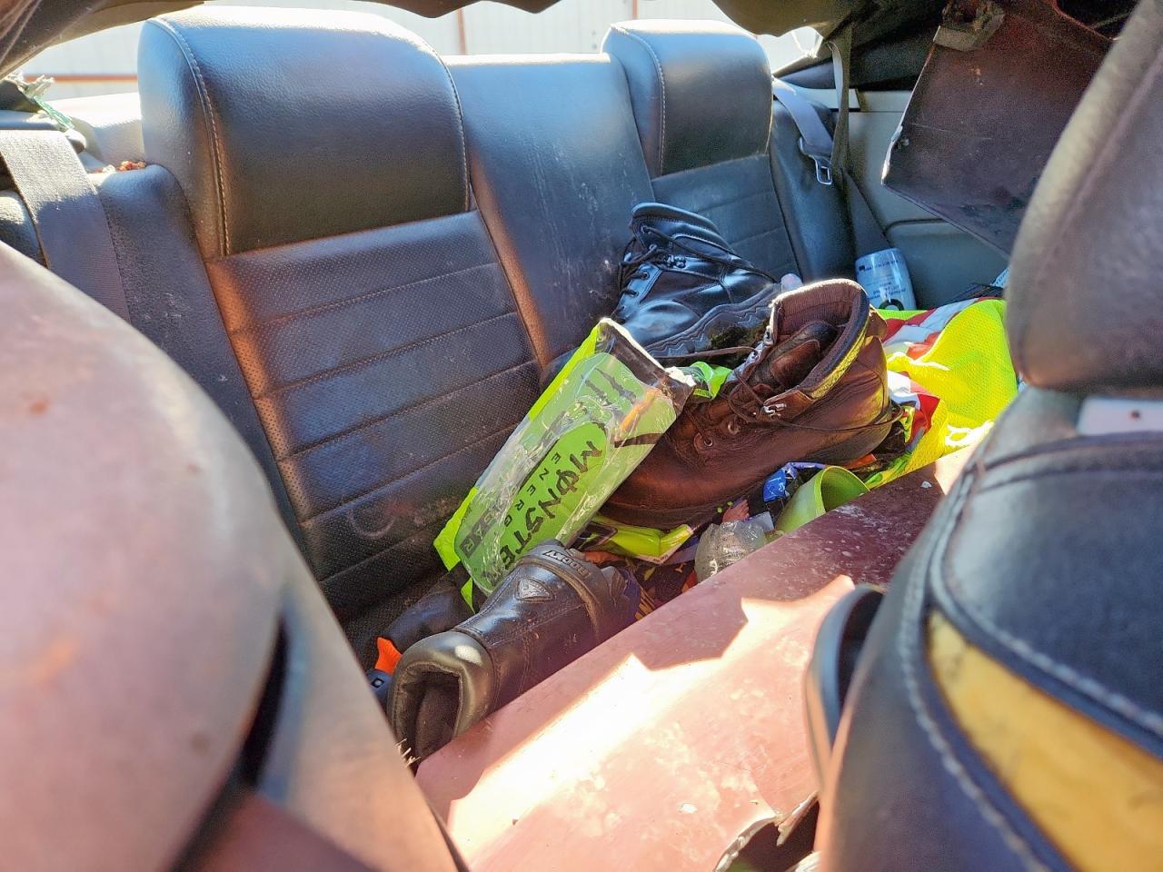 2009 Ford Mustang VIN: 1ZVHT84N495108049 Lot: 90106195