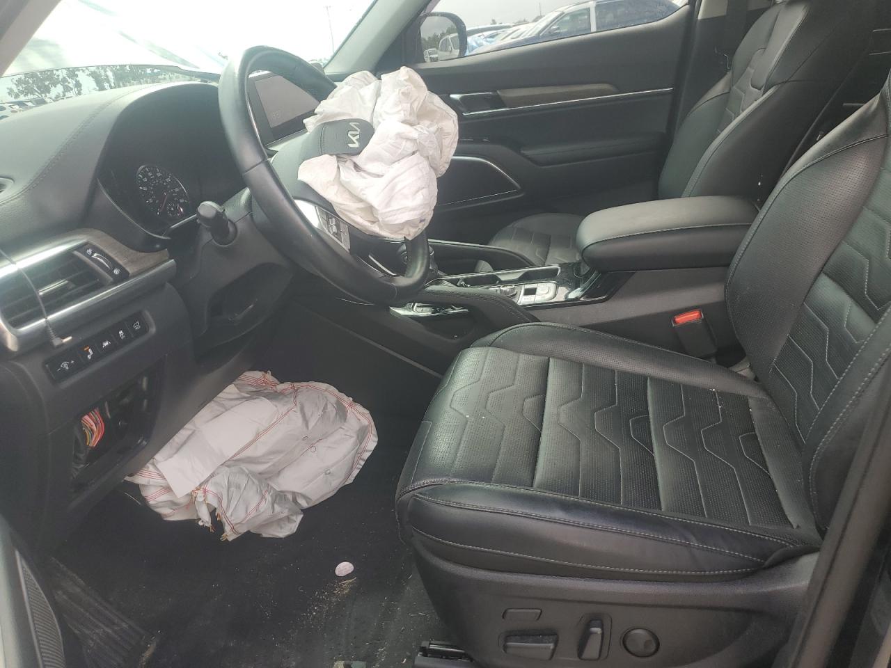 2022 Kia Telluride Sx VIN: 5XYP5DHC6NG309284 Lot: 84994445