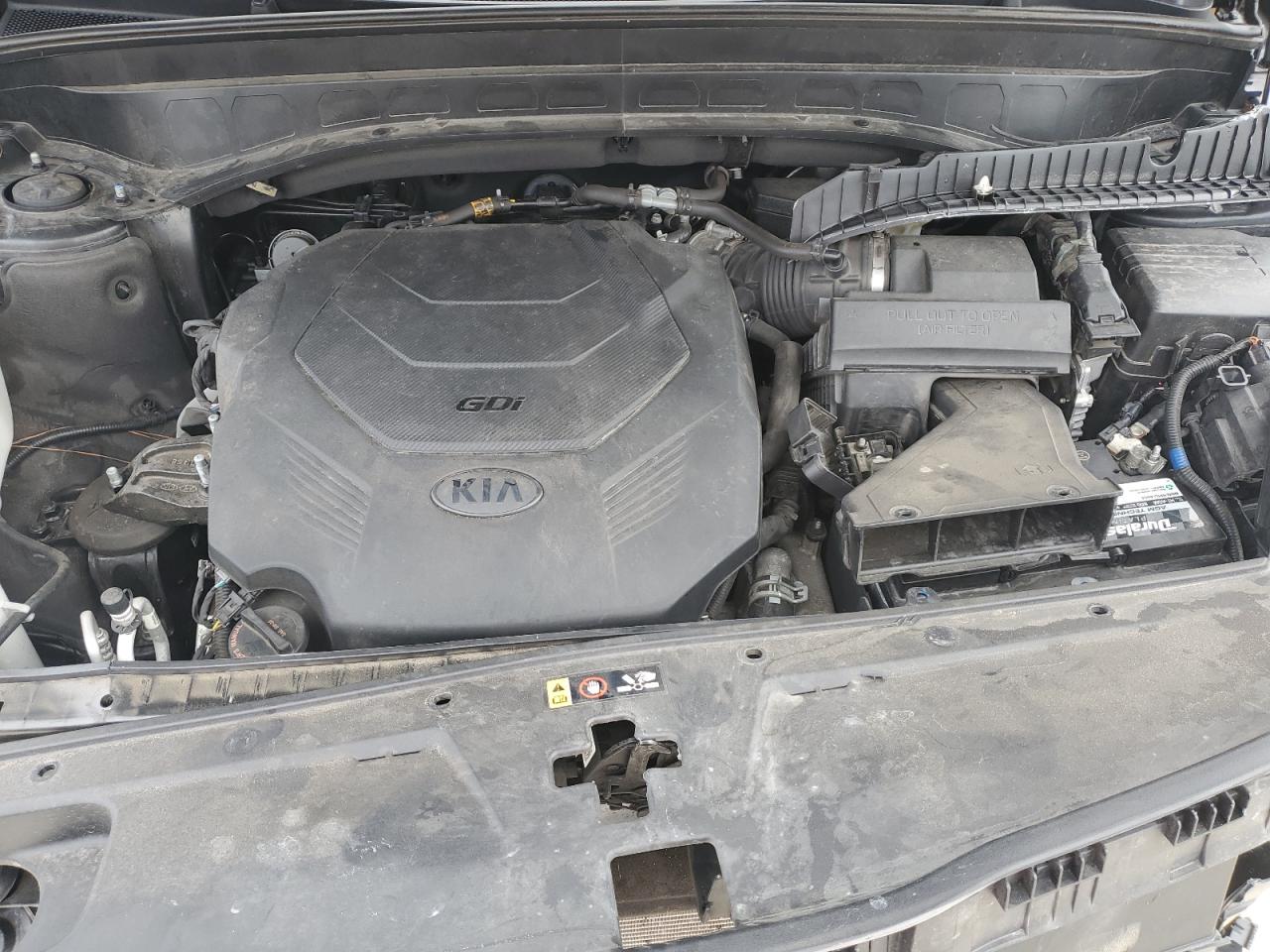 2021 Kia Telluride Ex VIN: 5XYP3DHC4MG100209 Lot: 86122125