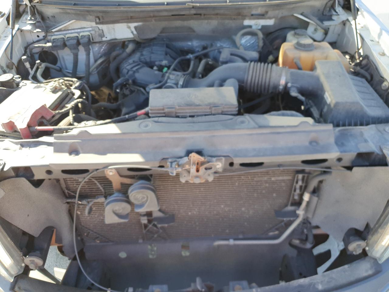 2013 Ford F150 VIN: 1FTMF1CM7DKE69486 Lot: 84806025