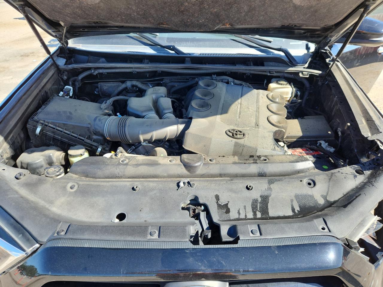 2019 Toyota 4Runner Sr5/Sr5 Premium VIN: JTEBU5JR2K5627646 Lot: 82201115