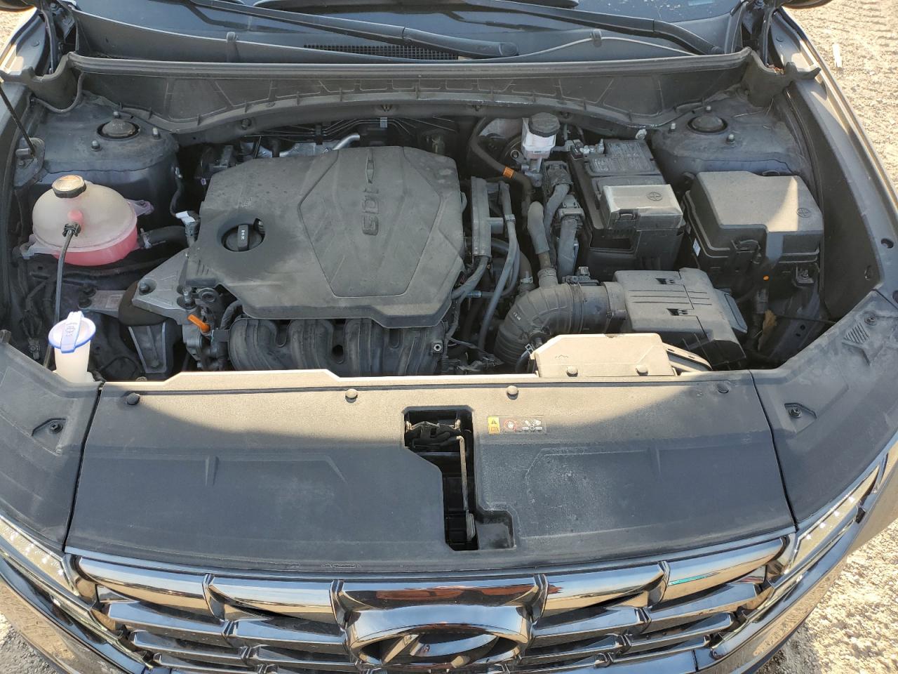 2022 Hyundai Tucson Limited VIN: 5NMJECAEXNH126083 Lot: 86876765