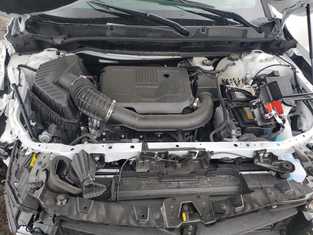 2025 Chevrolet Blazer 2Lt VIN: 3GNKBCR49SS217771 Lot: 81980145