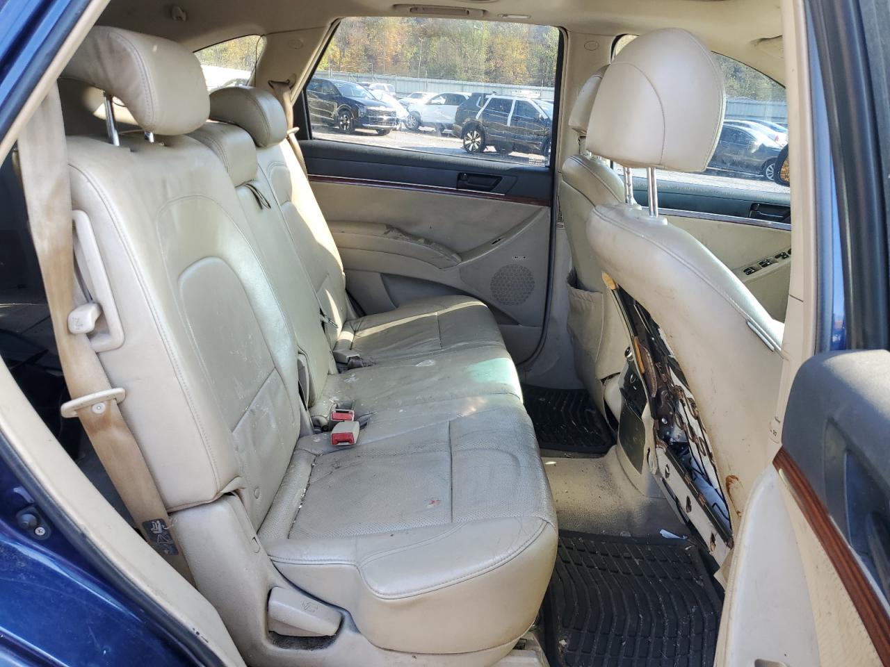 2007 Hyundai Veracruz Gls VIN: KM8NU13C17U005051 Lot: 89514605