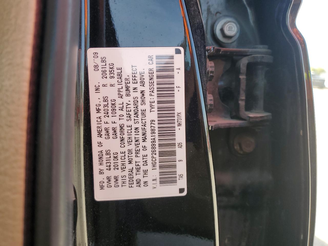2009 Honda Accord Exl VIN: 1HGCP26899A198779 Lot: 81950495