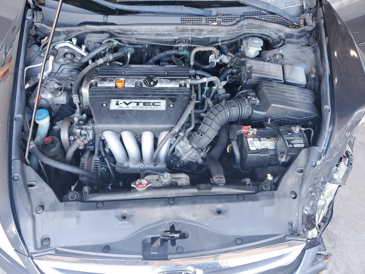 2006 Honda Accord Se VIN: 1HGCM563X6A168412 Lot: 85580615