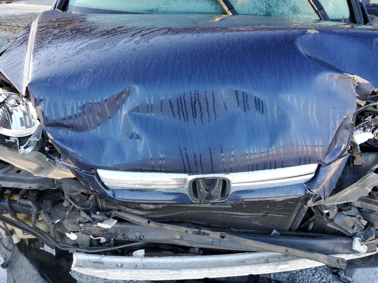 2007 Honda Cr-V Exl VIN: JHLRE38737C072415 Lot: 85500245