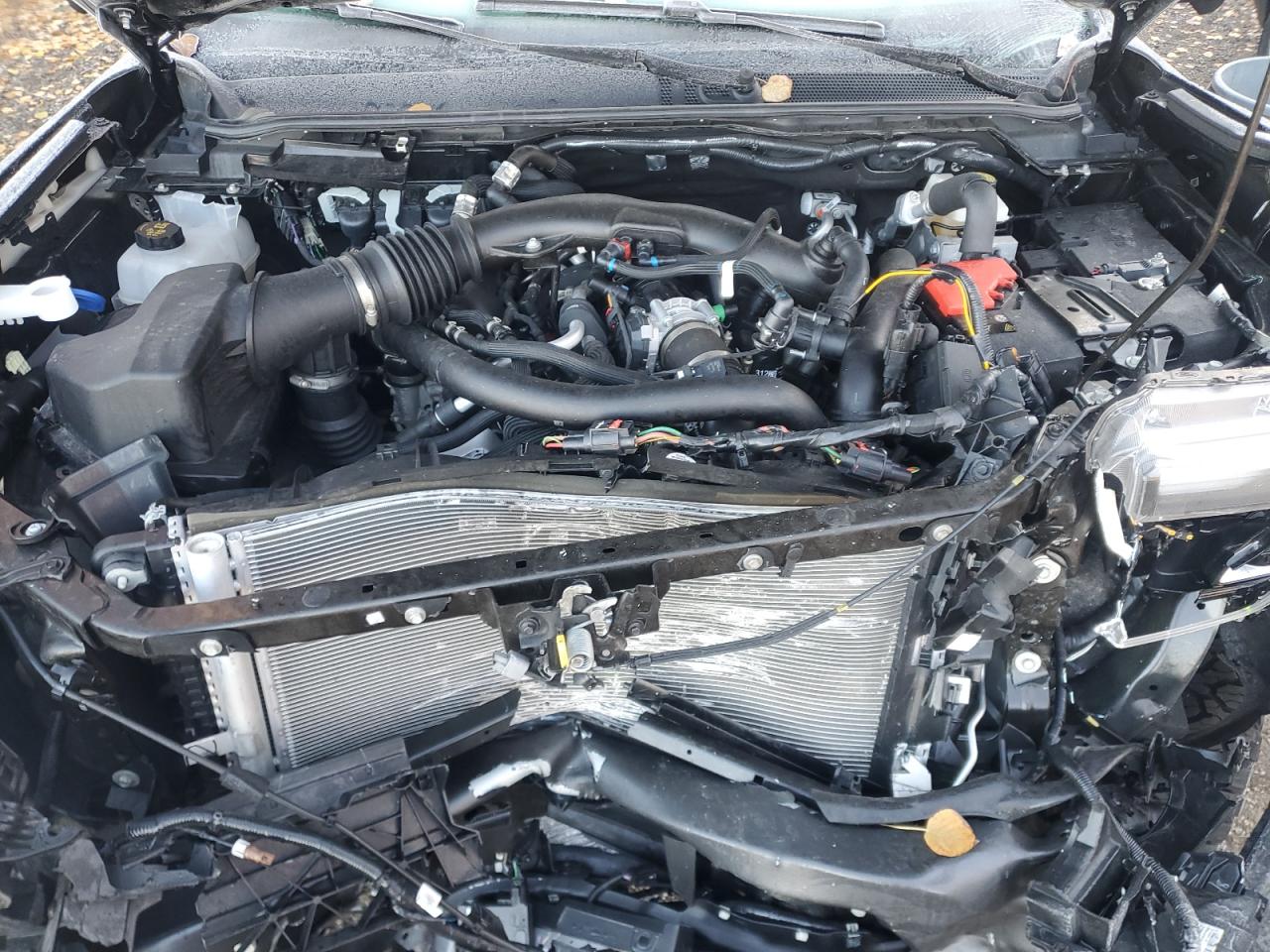 2024 Ford Ranger Raptor VIN: 1FTER4LR3RLE55806 Lot: 90292875