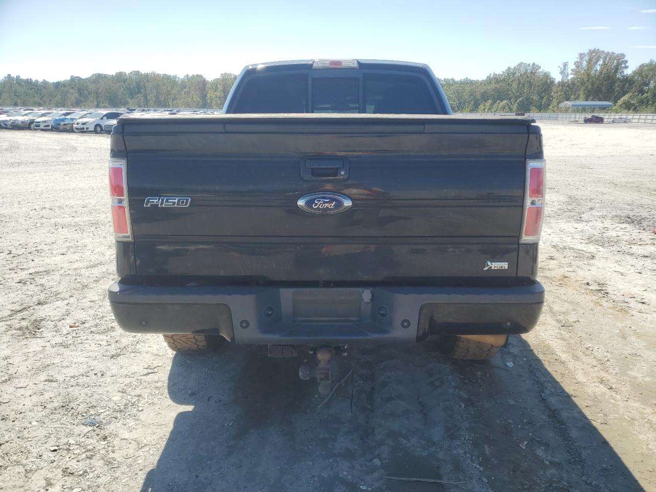 2010 Ford F150 Supercrew VIN: 1FTFW1EV4AFA70537 Lot: 84871125