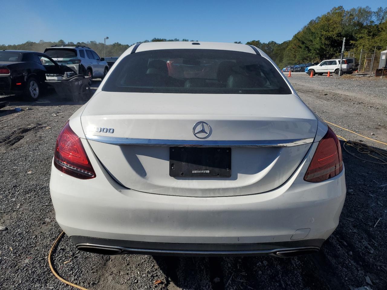 2019 Mercedes-Benz C 300 VIN: 55SWF8DB4KU307659 Lot: 82529145