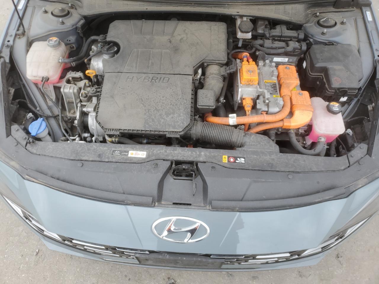 2021 Hyundai Elantra Limited VIN: KMHLN4AJ8MU011755 Lot: 86727345