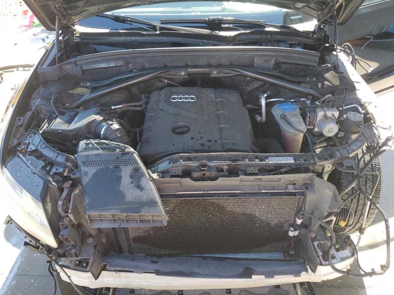 2011 Audi Q5 Premium VIN: WA1CFAFP5BA100088 Lot: 86782435