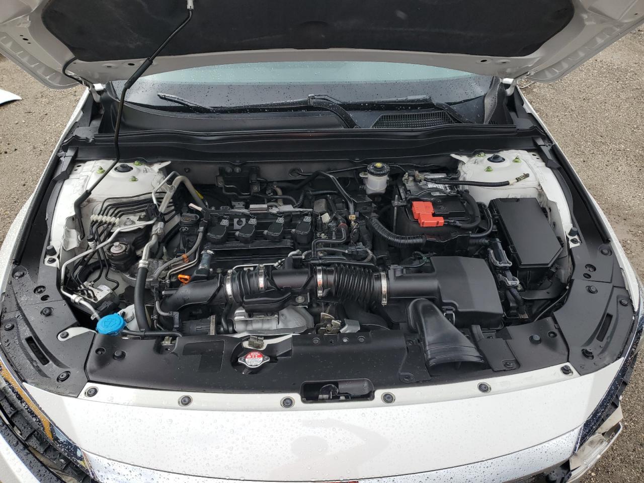 2021 Honda Accord Lx VIN: 1HGCV1F14MA012836 Lot: 84775285